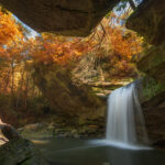 What’s in the Water?